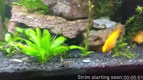 Booker Baxton online show from January 2026 04:05:02 AM