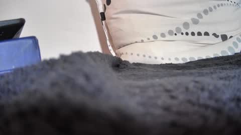 Snapshot of boy3911 chatting on February 2025 05:40:01 PM boy3911 online show from February 2025 05:40:01 PM