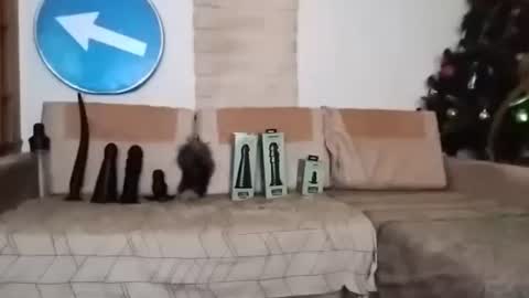 Snapshot of boy7oyy chatting on February 2025 07:14:02 PM Bes7assquirt online show from February 2025 07:14:02 PM