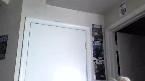 Snapshot of braindeadbetty chatting on June 2026 02:08:01 PM i am a naughty jedi knight online show from June 2026 02:08:01 PM