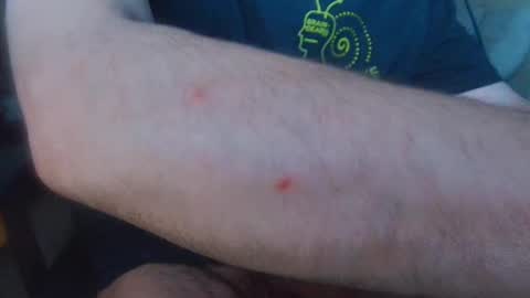 brainrrawtt online show from March 2025 08:52:01 AM