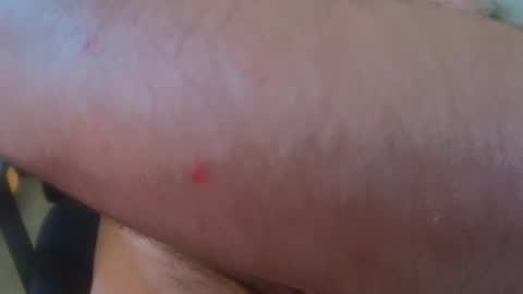 brainrrawtt online show from March 2025 05:57:02 PM