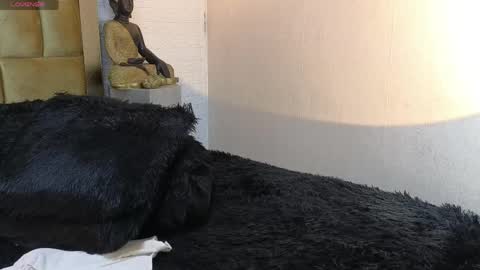 Brand  online show from April 2026 11:48:01 PM