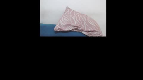 Snapshot of brant_garcia chatting on January 2026 05:56:01 AM Brant Garcia online show from January 2026 05:56:01 AM