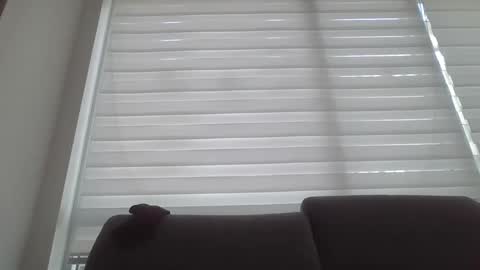 Snapshot of braveivy chatting on February 2026 01:04:01 PM Sexy Fun Ivy online show from February 2026 01:04:01 PM