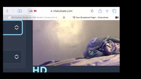 Snapshot of braylensaurex chatting on November 2025 02:34:02 AM MANTE online show from November 2025 02:34:02 AM