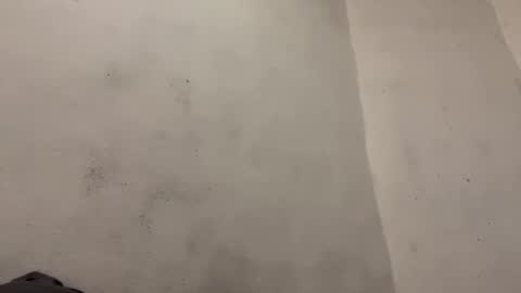 breanexe online show from October 2025 11:01:01 AM