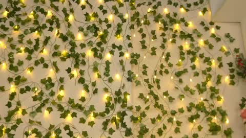 Snapshot of brenda_m00n chatting on January 2025 09:25:02 PM Brenda online show from January 2025 09:25:02 PM