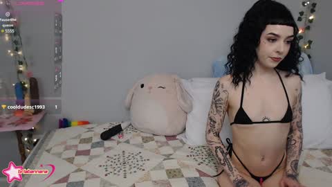 Brianna online show from December 2024 12:48:02 AM