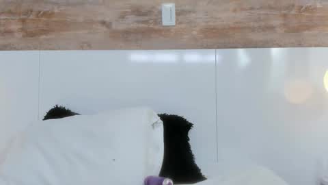 brianna_beltran online show from April 2026 11:04:01 AM