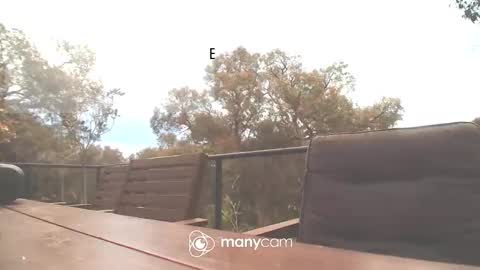 Fun Monster online show from October 2025 02:01:02 AM