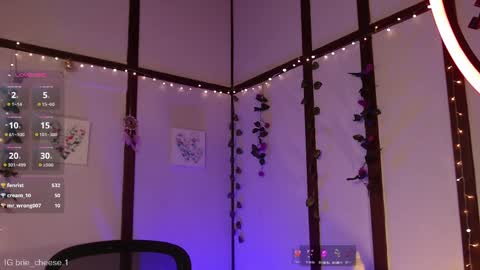 Brie  Ill be away November 2829 and 30. See u on Sunday for more fun online show from February 2025 08:07:02 PM