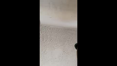 Brittany  online show from March 2026 12:38:02 PM