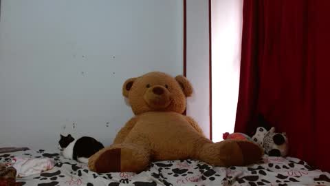 Snapshot of brittany_bubbles chatting on November 2025 03:01:02 PM maru miaw Please help me to reach 100 thumbs up online show from November 2025 03:01:02 PM