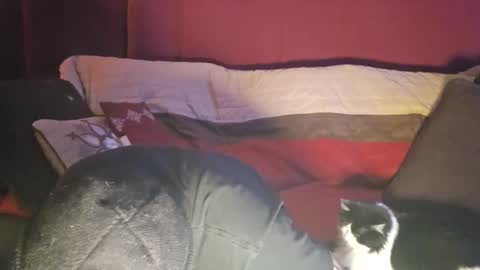 brownboyt online show from December 2025 05:58:02 AM