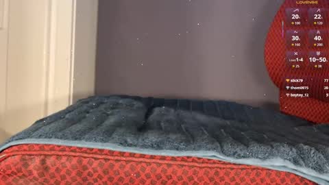 Brsrkr online show from January 2026 08:11:02 PM