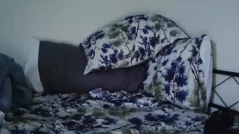 Bruc12168 fit slim new makemecum bigdick edging online show from February 2025 12:04:02 PM