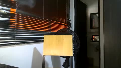 Snapshot of bruce_bigg chatting on February 2025 01:54:02 PM Bruce online show from February 2025 01:54:02 PM