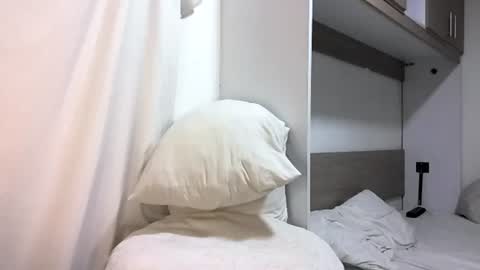 Snapshot of bruce_bigg chatting on March 2025 02:15:01 AM Bruce online show from March 2025 02:15:01 AM