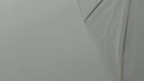 Snapshot of bruno_bellini chatting on November 2025 11:10:01 AM Bruno Bellini online show from November 2025 11:10:01 AM