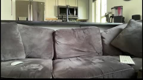 brwm2013 online show from September 2025 07:48:02 PM