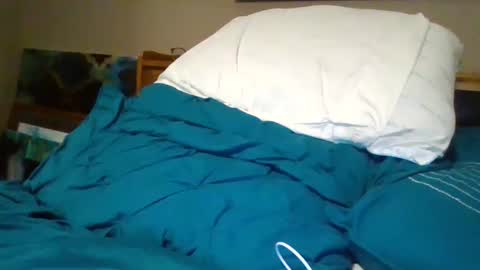 Snapshot of bud42o chatting on December 2024 07:09:01 AM Bud42o online show from December 2024 07:09:01 AM