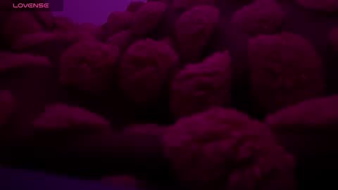 bukkakebae online show from November 2025 12:30:01 AM