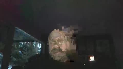 bulldog302w online show from February 2026 10:41:01 PM