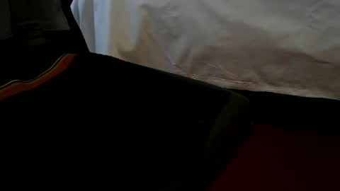 Snapshot of bulldogitdude chatting on March 2026 04:11:01 PM bulldogitdude online show from March 2026 04:11:01 PM