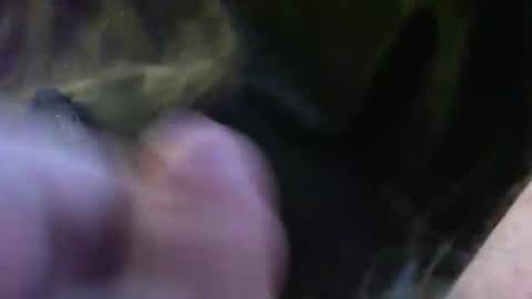 bullemoe online show from January 2025 02:11:01 PM