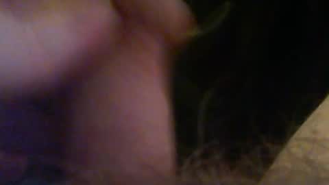 bullemoe online show from March 2025 12:20:02 AM