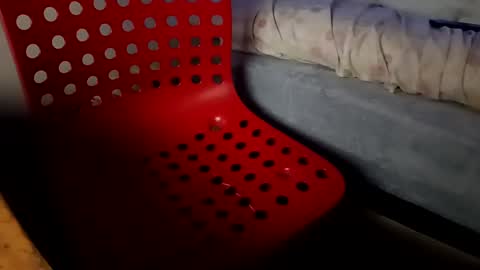 bullspain27266272 online show from January 2025 04:41:01 AM