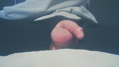 Dutch cock online show from February 2025 06:32:02 AM