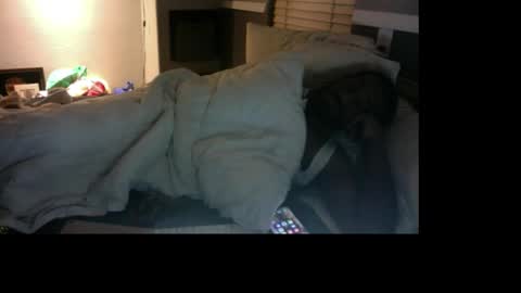 Bungalow Entertainment online show from December 2025 11:16:02 AM