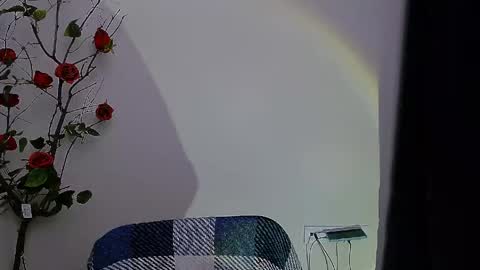 Ariel online show from April 2026 08:03:02 PM