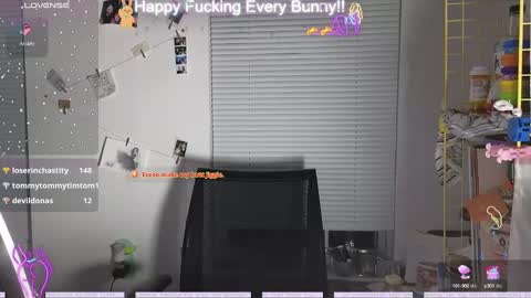 Tokki  bunny  online show from December 2024 10:30:02 PM