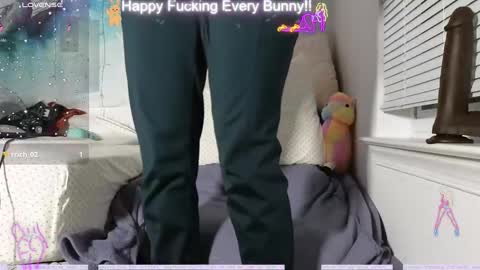 Tokki  bunny  online show from December 2024 02:37:02 AM