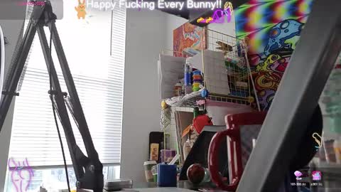 Tokki  bunny  online show from January 2025 07:20:02 PM