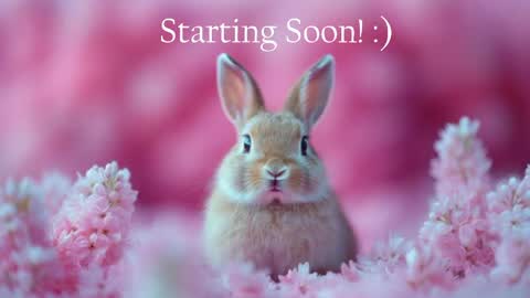 Stella online show from May 2026 09:45:01 PM