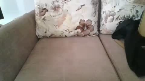 burak20x online show from October 2025 07:10:02 AM