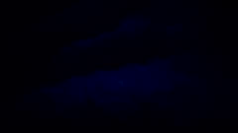Burgola online show from August 2026 11:52:01 AM