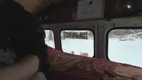 Snapshot of busbuddies chatting on December 2024 04:19:02 PM busbuddies online show from December 2024 04:19:02 PM