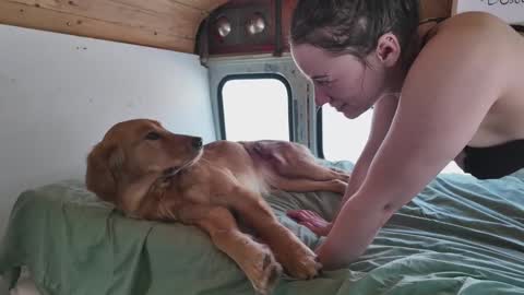 Snapshot of busbuddies chatting on February 2025 04:54:01 PM busbuddies online show from February 2025 04:54:01 PM