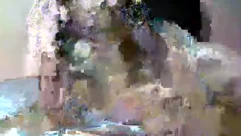 butler_yung online show from May 2026 09:12:01 PM
