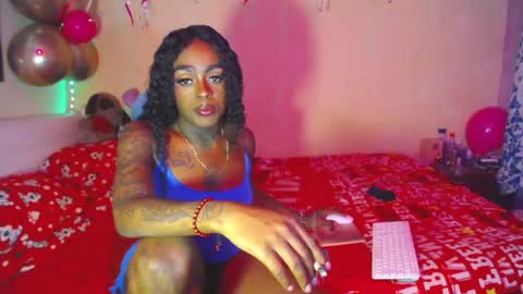 butterfly_rouse online show from November 2025 11:46:01 PM