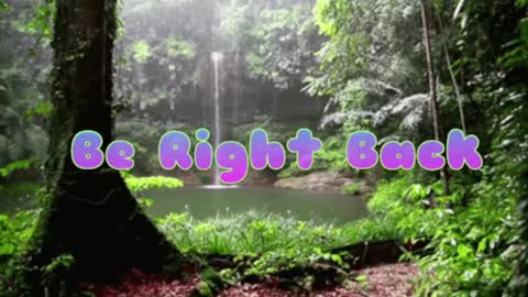 Snapshot of butterflyandbear chatting on December 2024 09:19:02 PM Butterfly and Bear online show from December 2024 09:19:02 PM