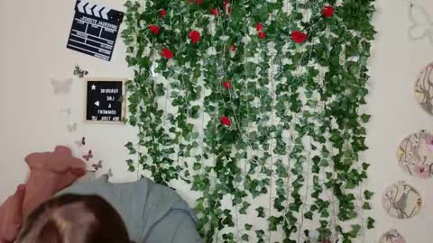 Snapshot of butterflybootyy chatting on November 2025 10:47:01 AM butterfly booty online show from November 2025 10:47:01 AM