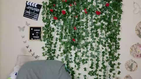 Snapshot of butterflybootyy chatting on November 2025 09:52:01 PM butterfly booty online show from November 2025 09:52:01 PM