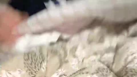 Snapshot of calciatore94 chatting on December 2024 08:54:02 PM Marco online show from December 2024 08:54:02 PM