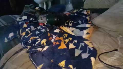 Calisguitar online show from December 2024 09:30:02 PM